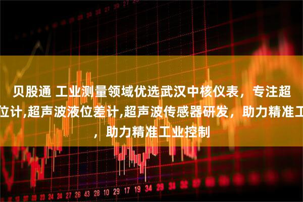 贝股通 工业测量领域优选武汉中核仪表，专注超声波物位计,超声波液位差计,超声波传感器研发，助力精准工业控制