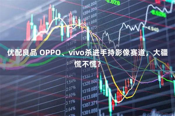 优配良品 OPPO、vivo杀进手持影像赛道，大疆慌不慌？