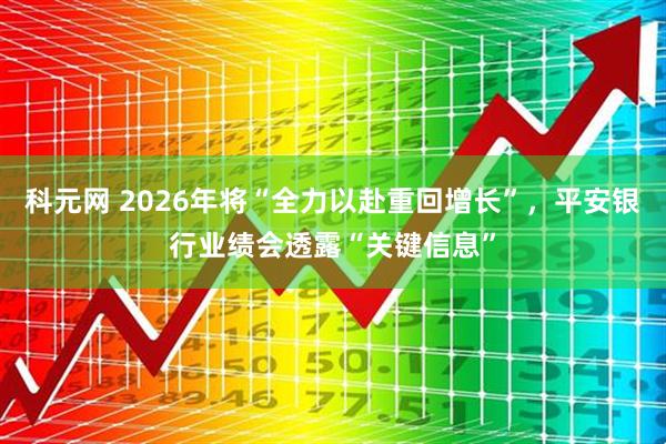 科元网 2026年将“全力以赴重回增长”，平安银行业绩会透露“关键信息”